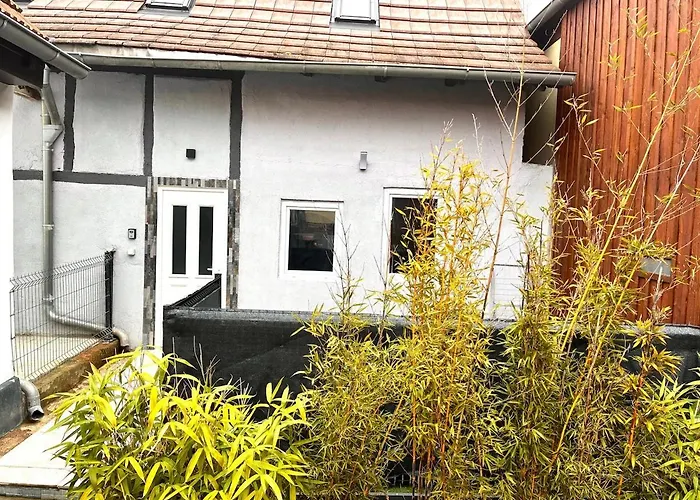 Apartament Maison Cosy Proche Strasbourg Et Aeroport Achenheim